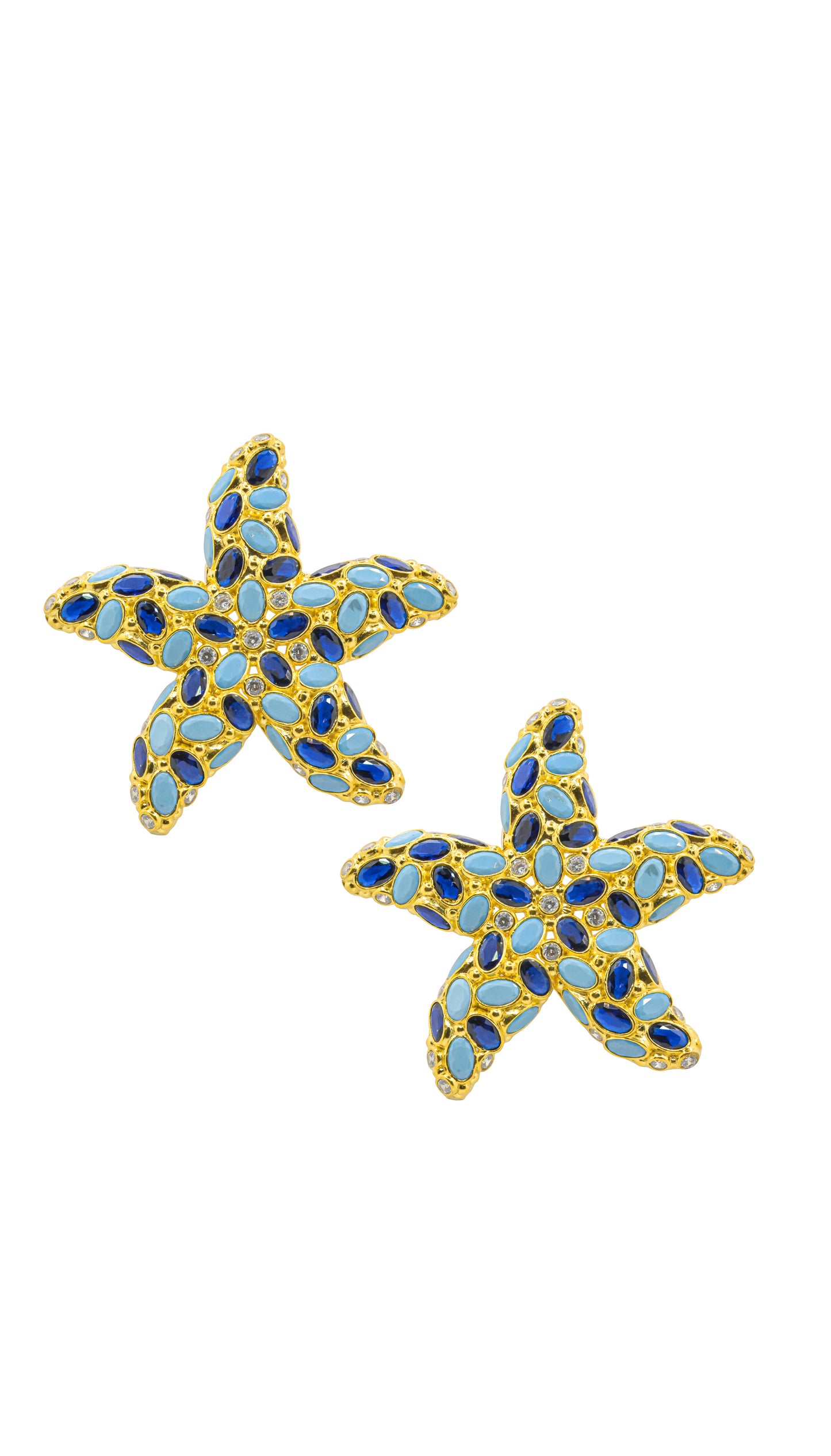 SEA STAR - BLUES