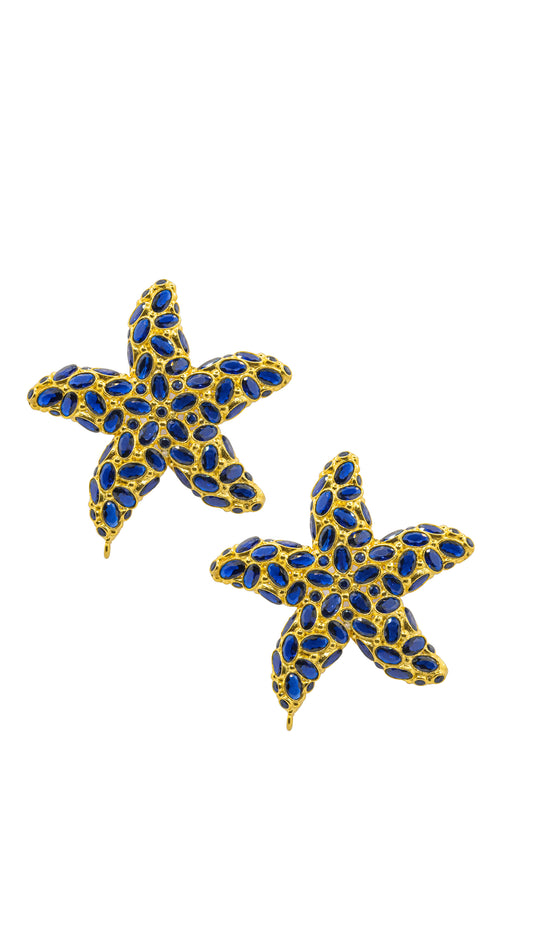 SEA STAR - DEEP BLUE WATER