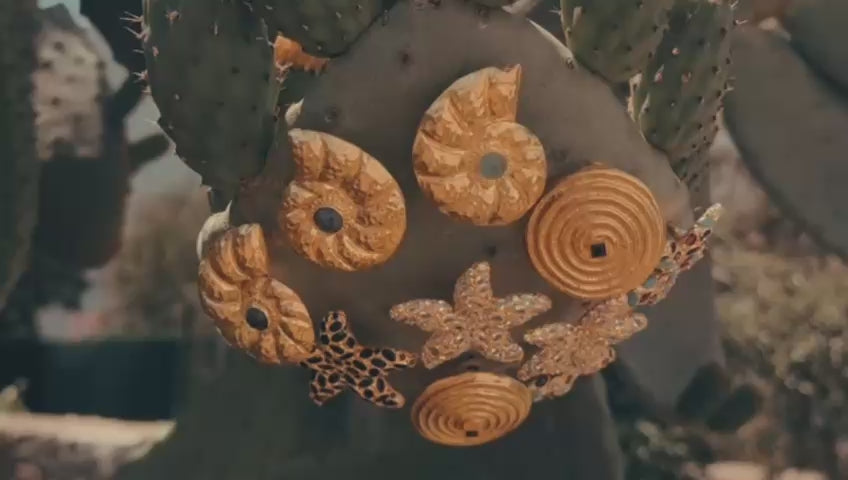 Video laden: 